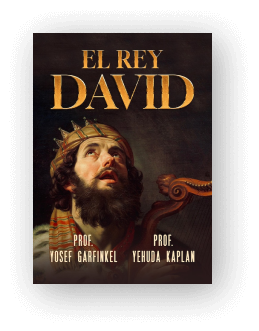 rey david-es